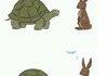 Race