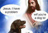 Jesus, I'm a dog