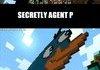 PERRY MINECRAFT