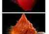 Cool Highspeed Photos 1