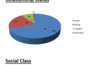 2nd FJ Demographic - Preliminary Results