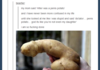 penis potato