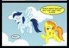 Fastest Stallion