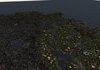 Morrowind