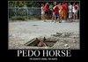 Pedo Horse