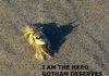 I am the hero!
