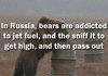 High Bears