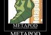 The truth about Metapods