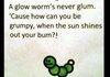 Glow worm