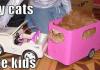 Why Cats hate Kids
