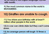 Some Useless Facts