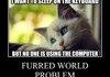 Kitty problem?