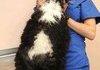 Infinicat is Love. Inifinicat is Life.