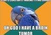 Paranoid Parrot
