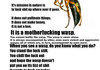 Wasps