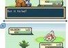 Ohhh... Pokemon
