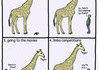 First world giraffe problems
