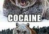 Cocaine Comp