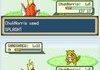 I Choose You