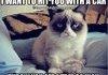 Oh grumpy cat we all love you :)