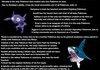 Generation III Facts