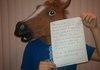 Hopeless Horse We Are the 99 percent