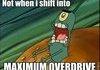 plankton
