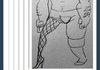 Genders