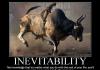 Monkey Bull Riding