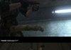 Halo 3 Comp.