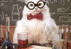 Scientific Cat