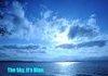 No, seriously, its blue.