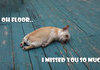 Why did you leave me?