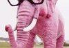 Scene Elephant