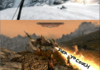 Oh no, Another Skyrim Comic