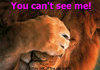 where's the lion?