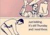 weekdays
