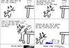 Cats thought process [LONG]