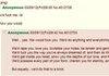 Only on 4Chan
