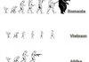 Evolution of Mankind