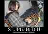 stupid