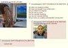 4chan