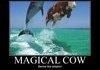 Magic Cow