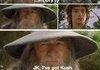 wizards.