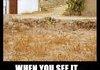 When you see it