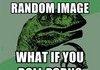 Rolling images What if?