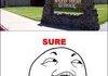 I wanna go to that school