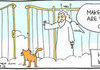 How cats end up with 9 lives