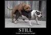 Still a better love story