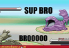 Brooo